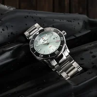 Tropical Diver detail
